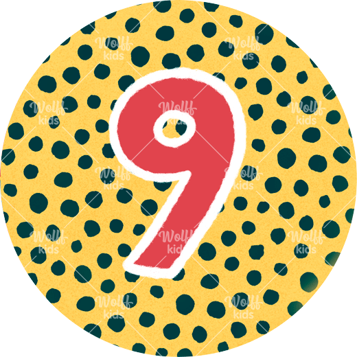 Einzelner Magnet: 9, 4cm